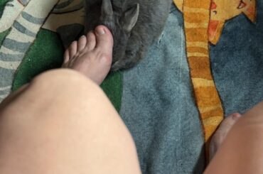 Shame him Little freak of nature