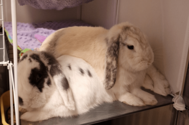 Nothing's comfier than my best mate's back