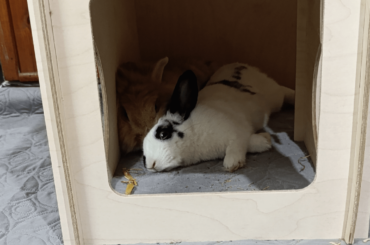 Love is squishing your partner against the wall ❤️
