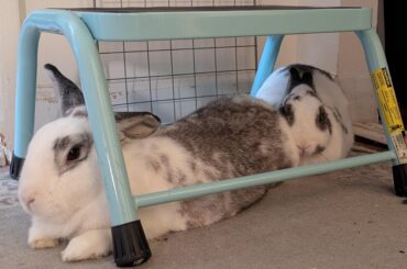 There are other places to sit, my dear