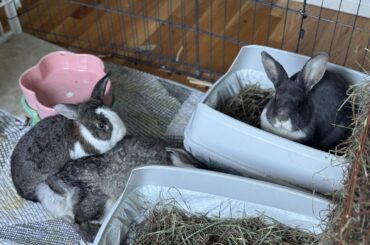 I think some of us can relate to this…