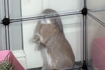 his new favorite spot lmao