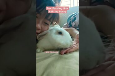 kisses from my bunny always melt my heart #bunny #cute #rabbit #petrabbit #pets