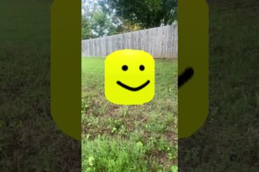 We turned the #cute #rabbit into what #roblox ?