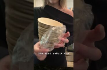 Palm leaf is the BEST rabbit toy #rabbit #bunny