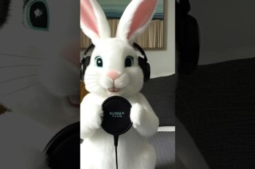 Cute Bunny Hosts a Tiny Podcast Under the Bed - Adorable Rabbit ASMR