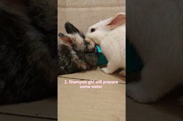 Bunny hair saloon #bunny #pets #cute #rabbit #saloon