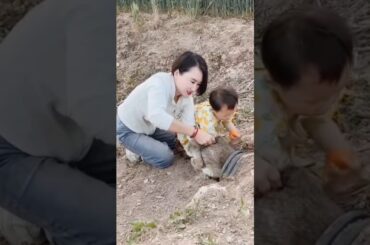 #cute #rabbit #animals #khargosh #funnyshorts #shortvideo #song