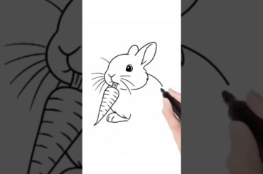 cute rabbit #funny