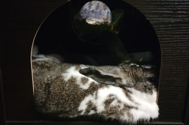 With a touch of side-eye 😒