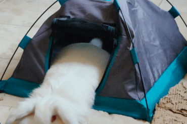 I see this as the equivalent of one foot under the blanket and one outside.