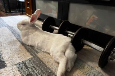 Noodling after a long day of weight training…