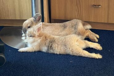 Like mother, like daughter