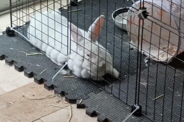 Ayame you could be, you know, anywhere else.