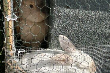 Was told to post here!