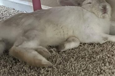 just wanna post my son🥹🫶🏽