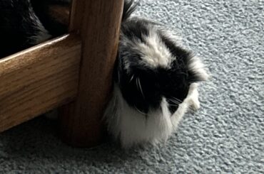 This is the perfect place to sleep 😴