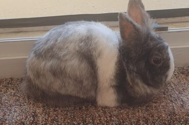 Enjoying a fresh breeze