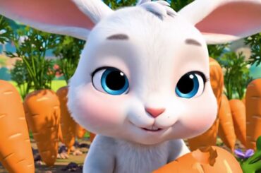 cute baby bunny video