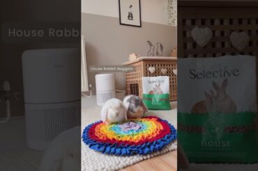 Different types of Rabbit Nuggets | Rabbit Food | Rabbit Diet | Bunny Pellets | House Rabbit |