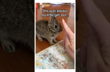 My dog brought me a bunny #wholesome #animals