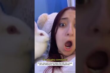 bunny in the mud #lovestory #wildliferescue #animals #rescue #cute#bunny #rabbit  #wildlife