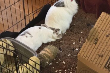 It’s complicated…