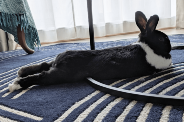 A metal bar right in your abdomen. What could be more comfortable?