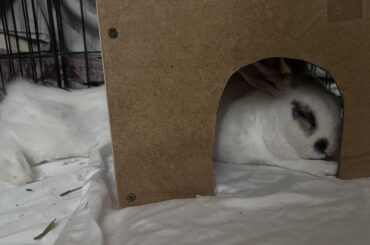 Noodled so long the fur changed time zones