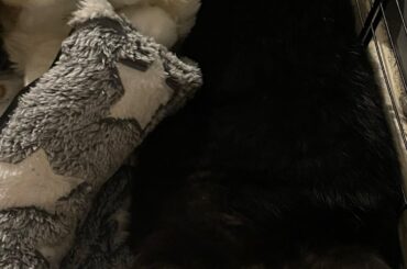 is that position comfy?