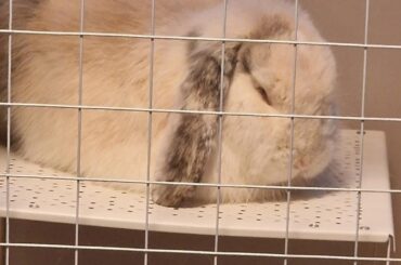 If this isn't the most demure loaf ever then I don't know what is