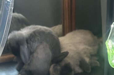 She flopped and he sat