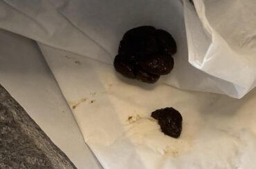 Bunny poop advice