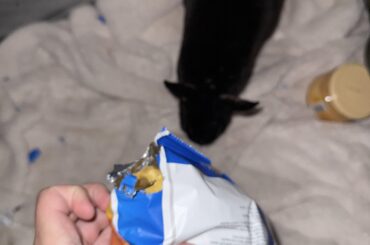 crimes on crimes here