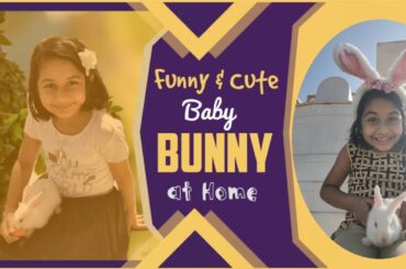 Funny & Cute Baby Bunny at home.