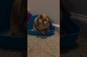 Send This to Your Bestie