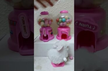 Double Gumball Machine dispenser with Cute Baby Rabbit #asmr #shorts