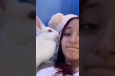 Hilarious Rabbit Chews Off Owner's Hair! #Shorts #Rabbits