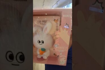 Cute Bunny Notebook at Kenji ##bunny #rabbit #freeroamrabbit #shorts #shortsvideo #shortsfeed