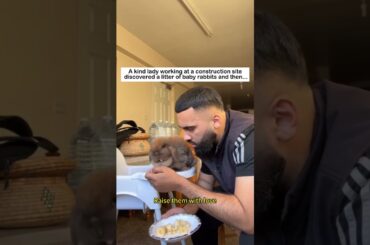 Rescue the baby bunnies #lovestory #rescue #wildliferescue #animals #cute #wildlife #rabbit #bunny