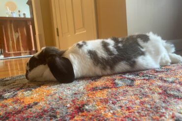 This girl doesn’t mind Mondays at all.