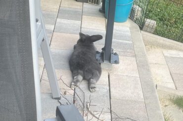 I too like a metal edge pressing into my back while I lie down