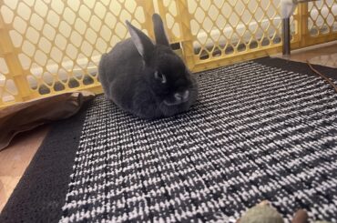 Stopped by the bakery this morning