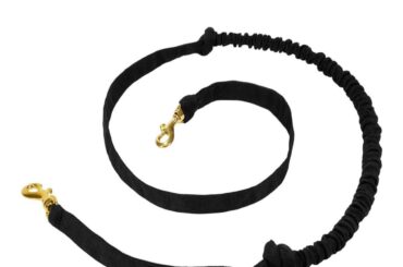 Leash for rabbits