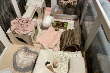Welcome home my newly wedded bunbuns