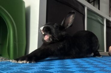 AAAAAAAAAAAA!