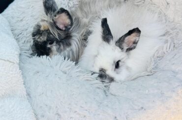 Bob & Larry