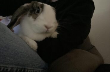 The princess on her throne
