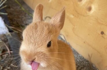 😛