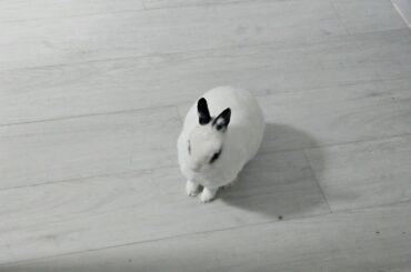 As soon you open the fridge door...